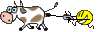 :cowG: